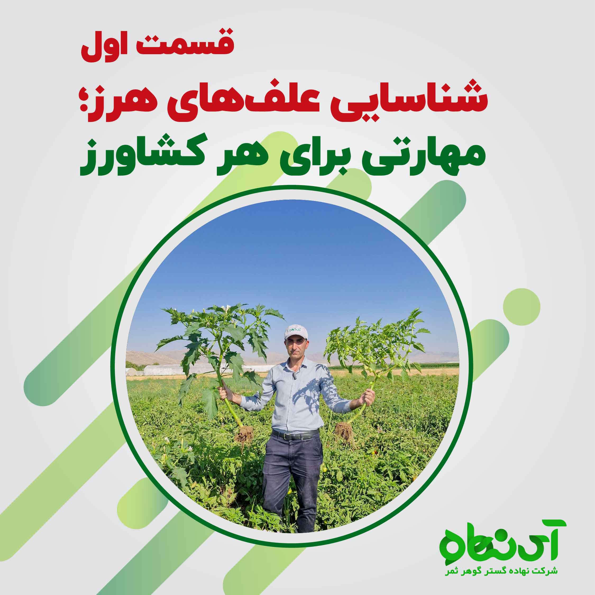 شناسایی علف‌های هرز؛ مهارتی برای هر کشاورز قسمت اول